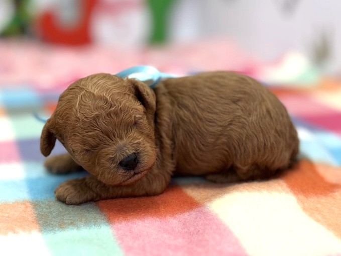 赤ちゃん写真1-2