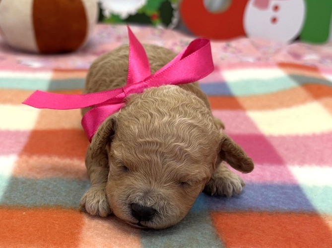 赤ちゃん写真1-1