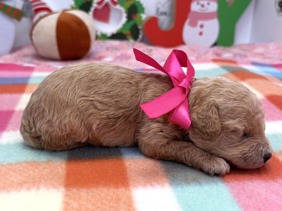 赤ちゃん写真1-2