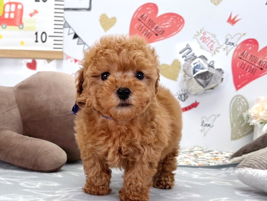 赤ちゃん写真2-1