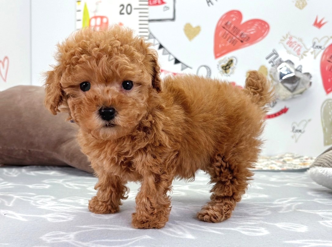 赤ちゃん写真2-2