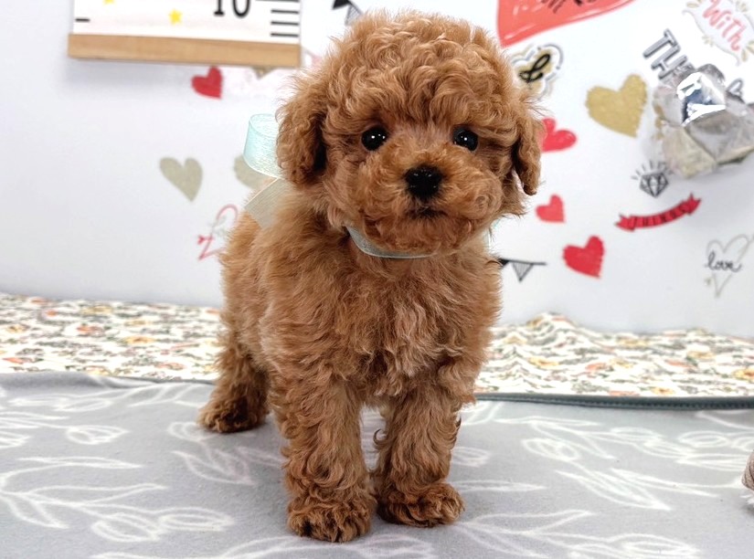 赤ちゃん写真2-1