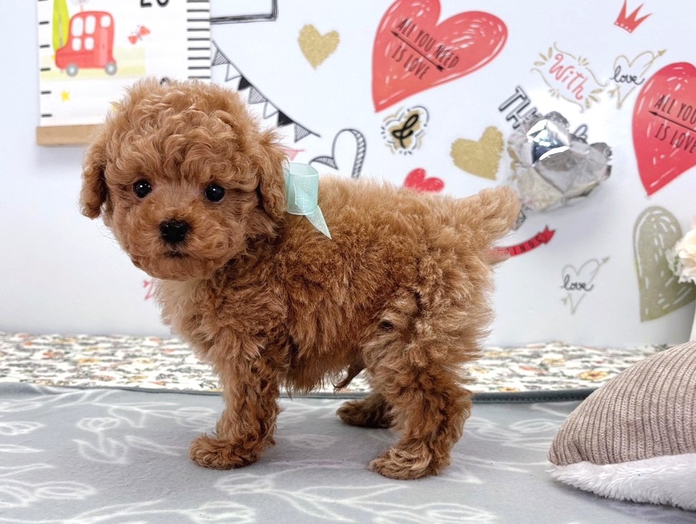 赤ちゃん写真2-2