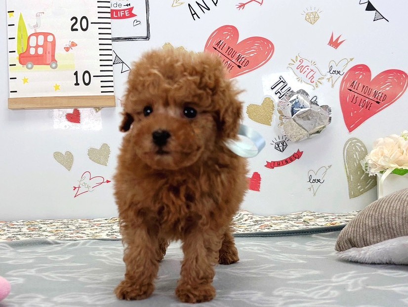 赤ちゃん写真2-1