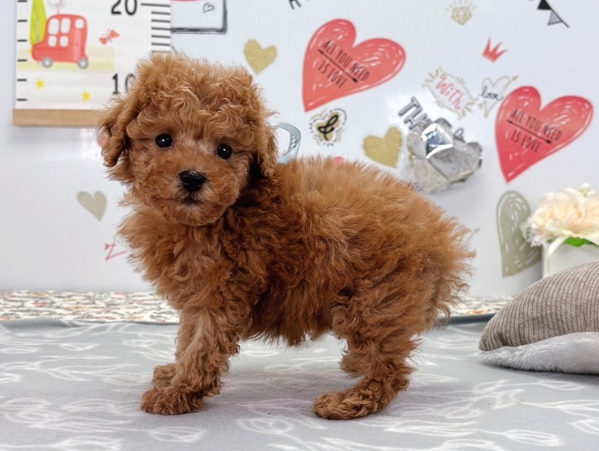 赤ちゃん写真2-2