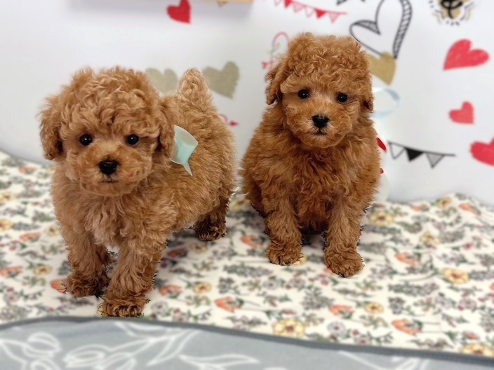 赤ちゃん写真2-3