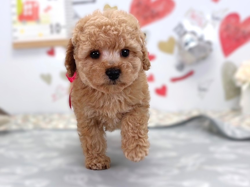 赤ちゃん写真2-1