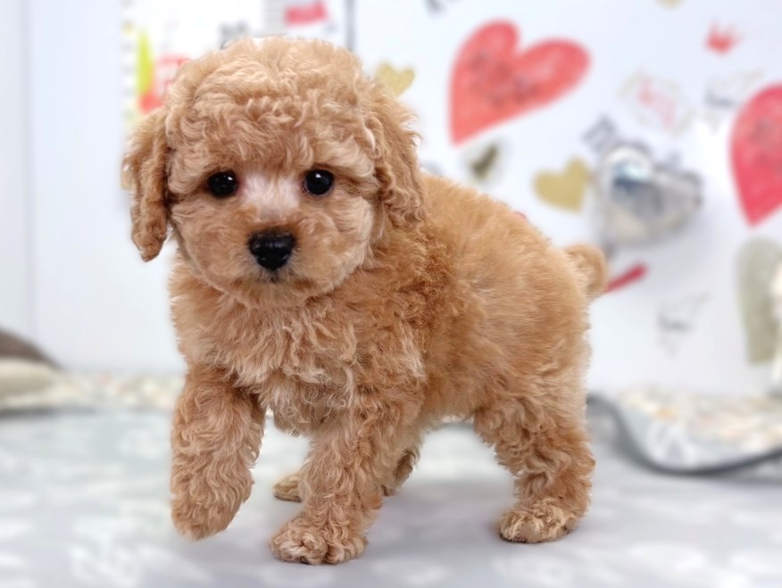 赤ちゃん写真2-2