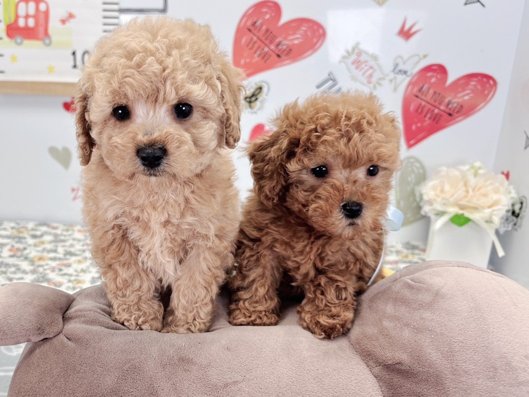 赤ちゃん写真2-3