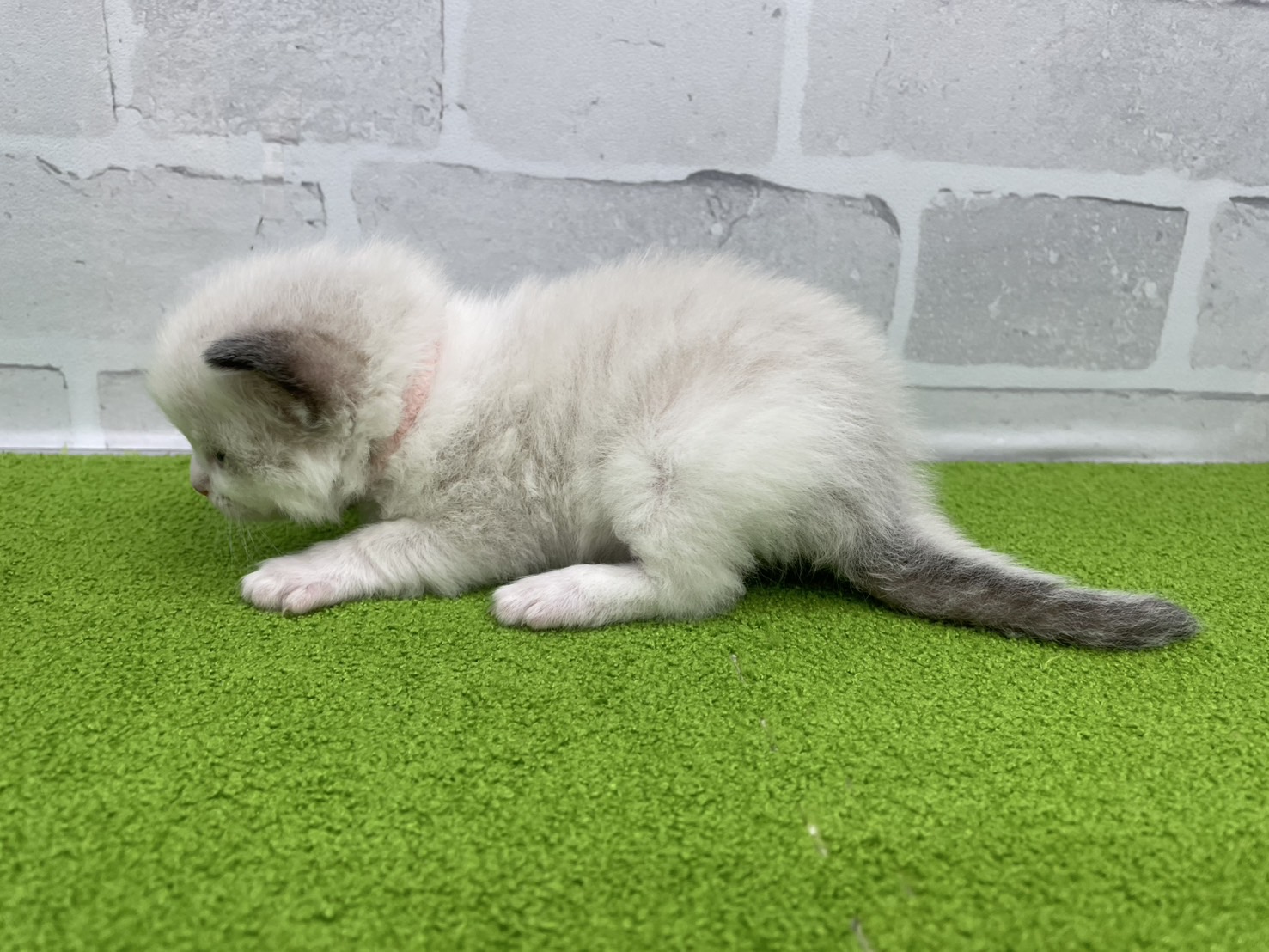 赤ちゃん写真2-2