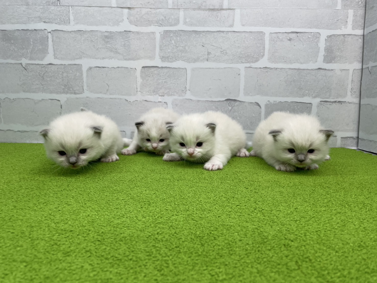 赤ちゃん写真2-3