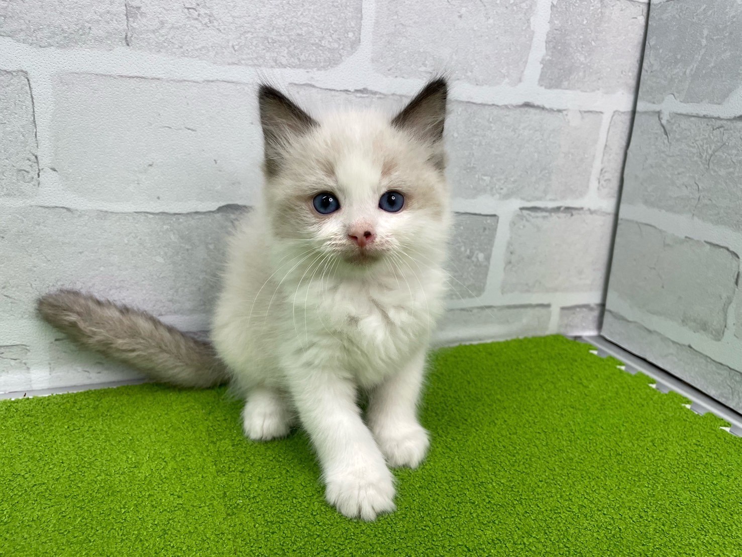 赤ちゃん写真3-1