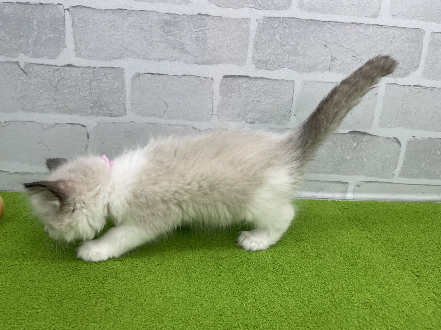 赤ちゃん写真3-2