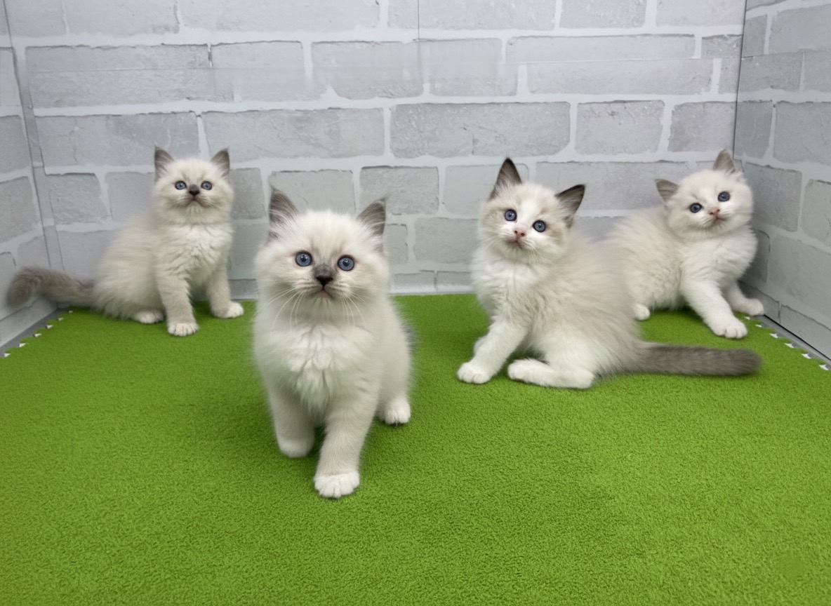 赤ちゃん写真3-3