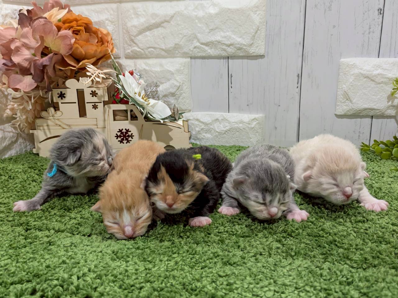 赤ちゃん写真1-3