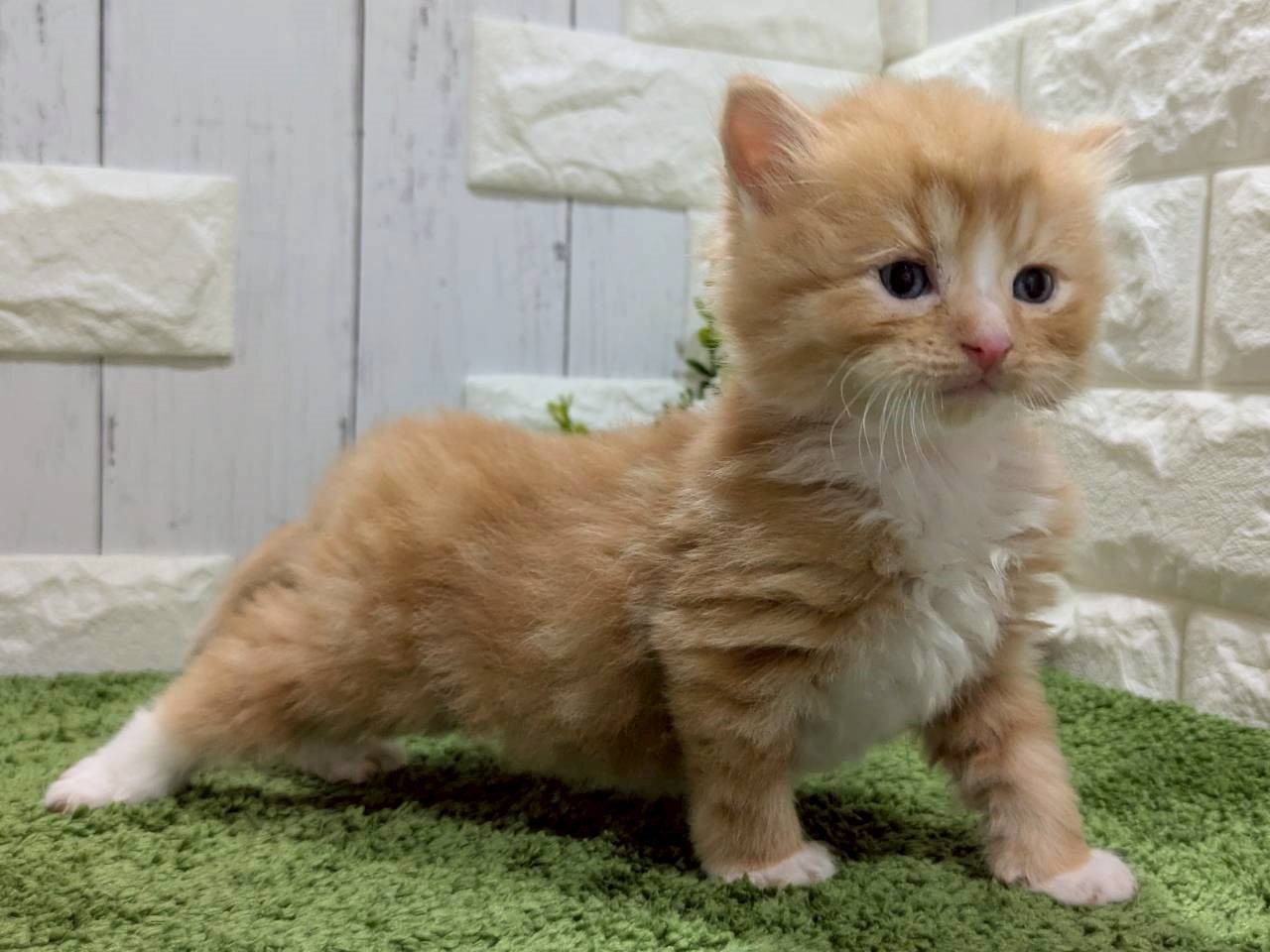 赤ちゃん写真2-3