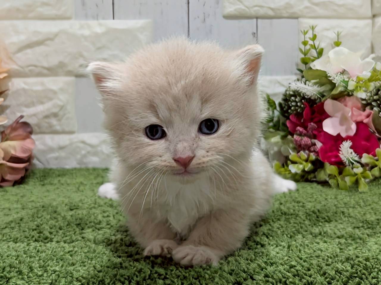 赤ちゃん写真2-1