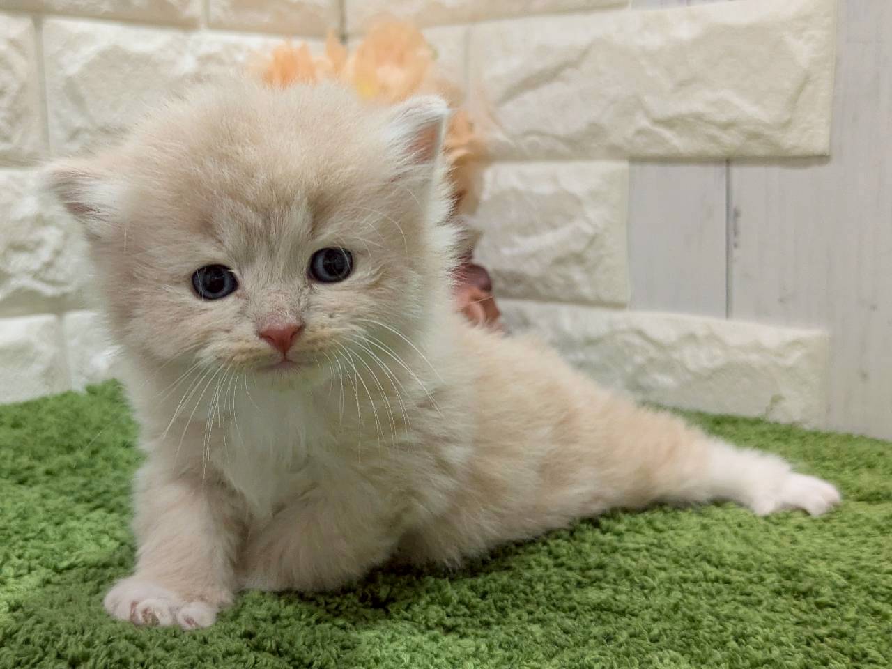 赤ちゃん写真2-2