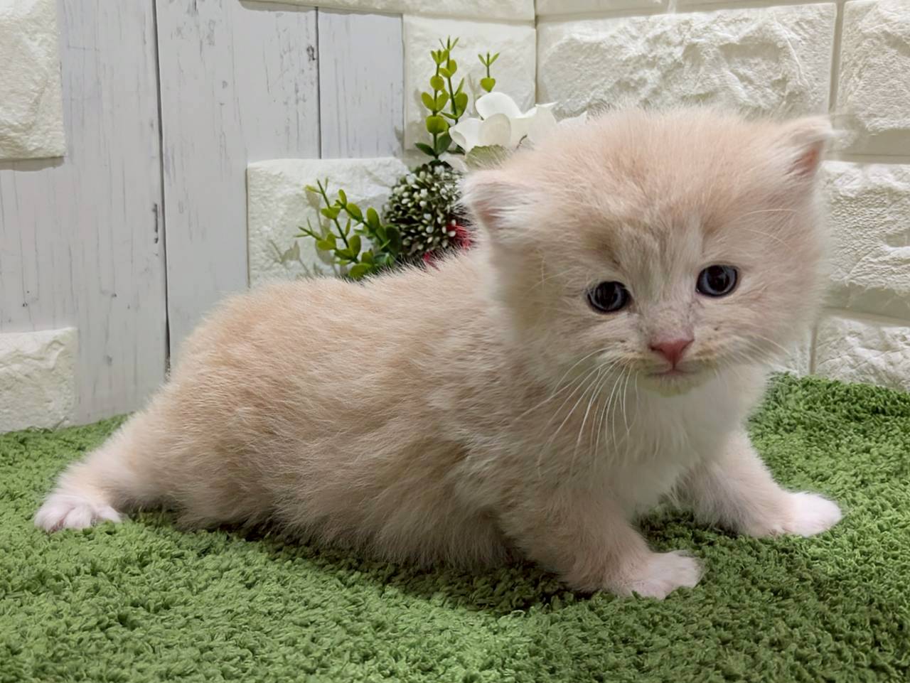 赤ちゃん写真2-3