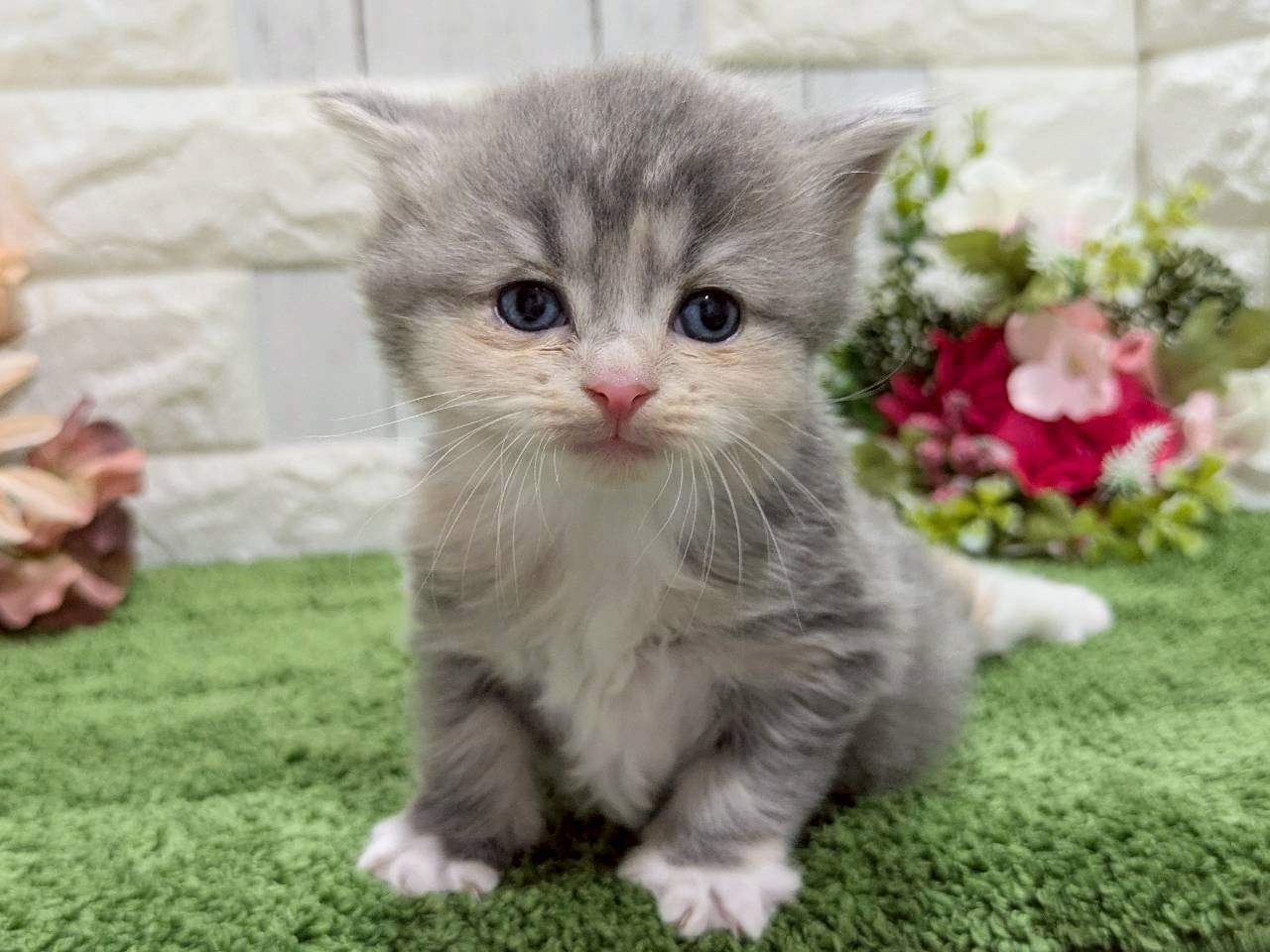 赤ちゃん写真2-1