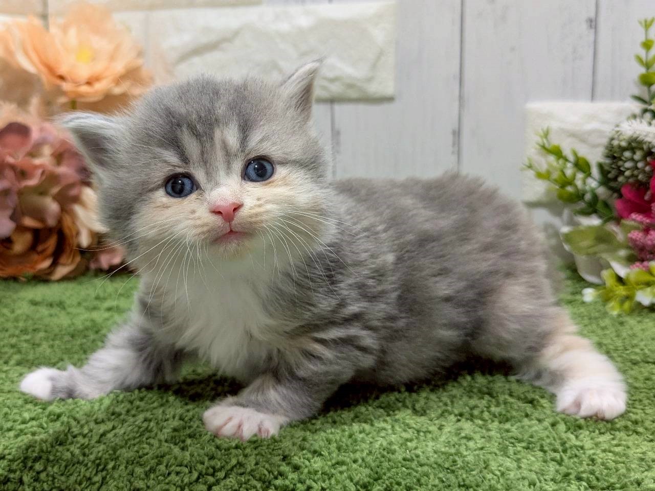 赤ちゃん写真2-2
