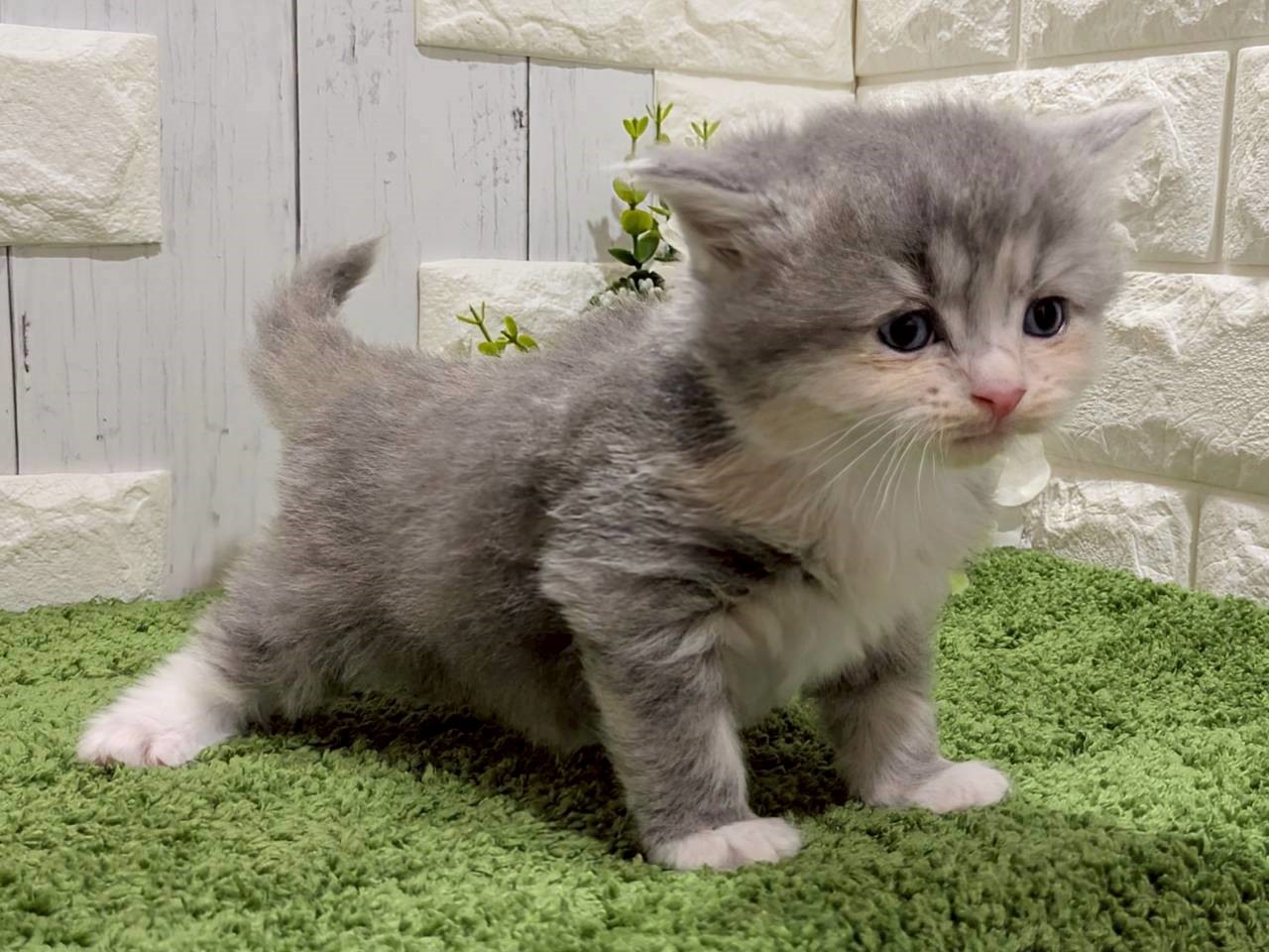 赤ちゃん写真2-3