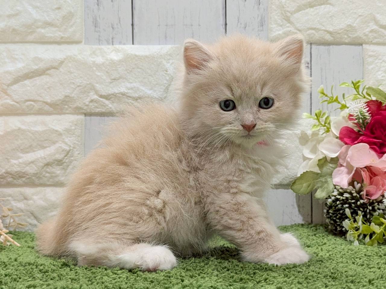 赤ちゃん写真3-2
