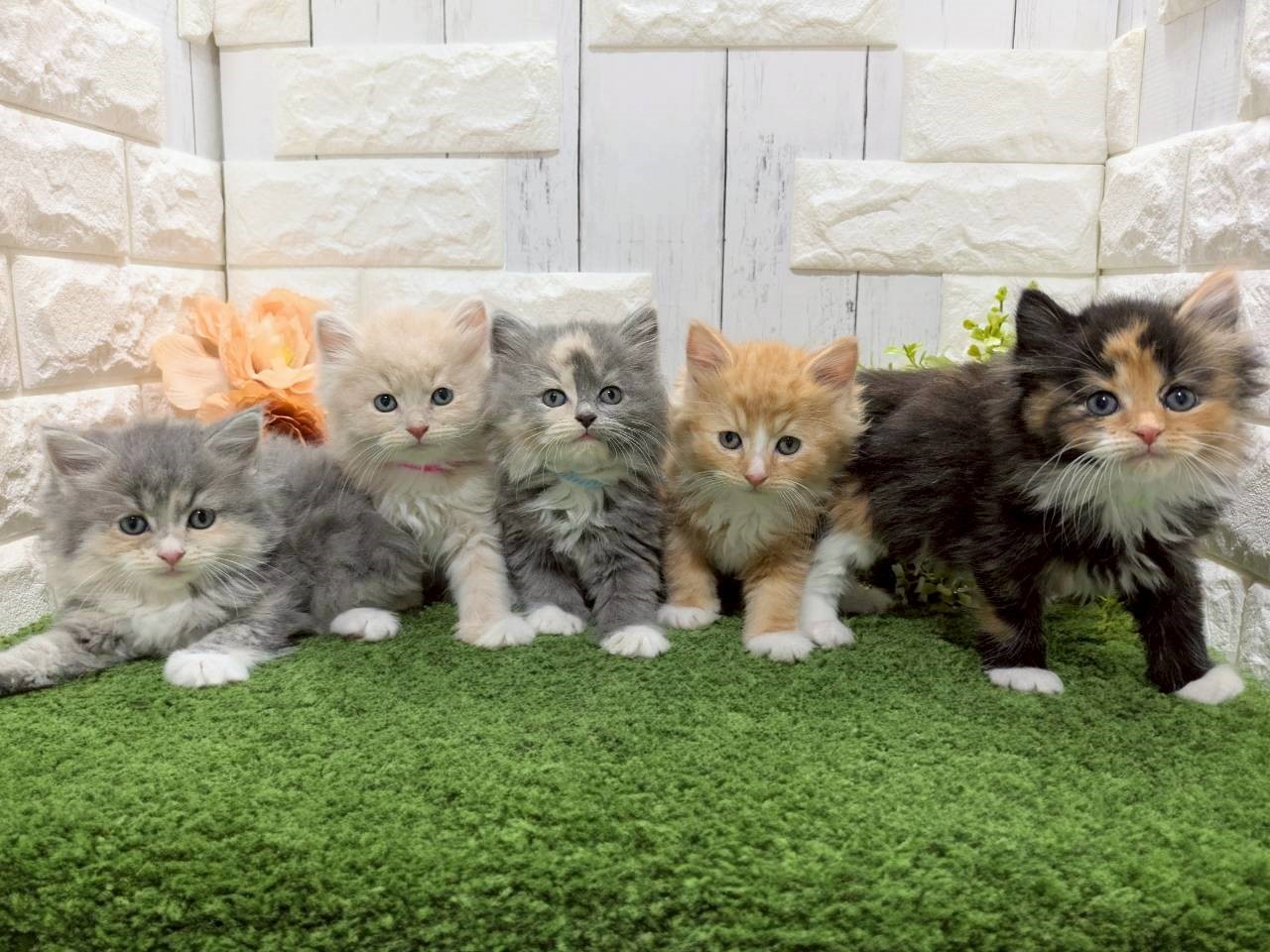 赤ちゃん写真3-3