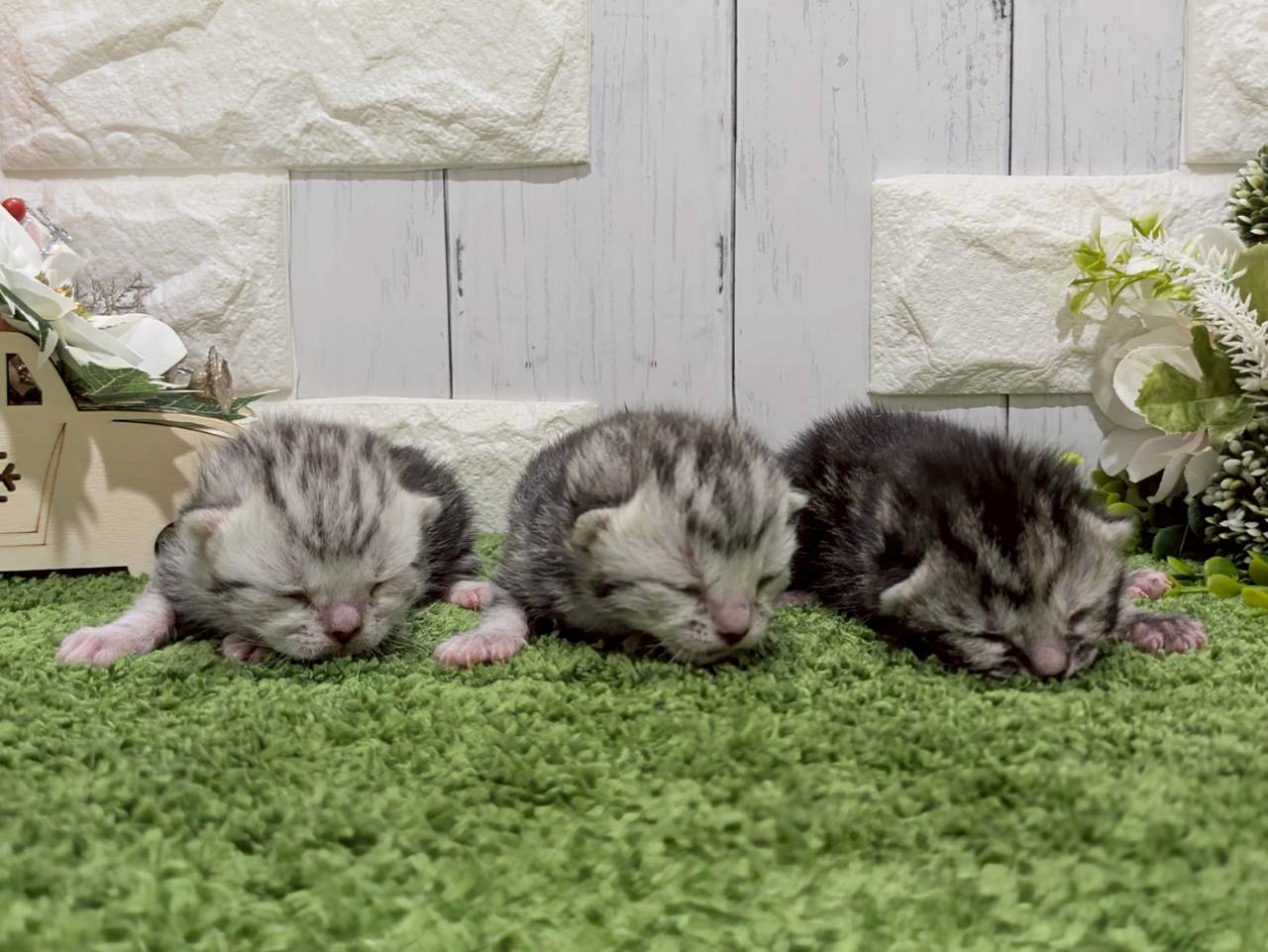 赤ちゃん写真1-3