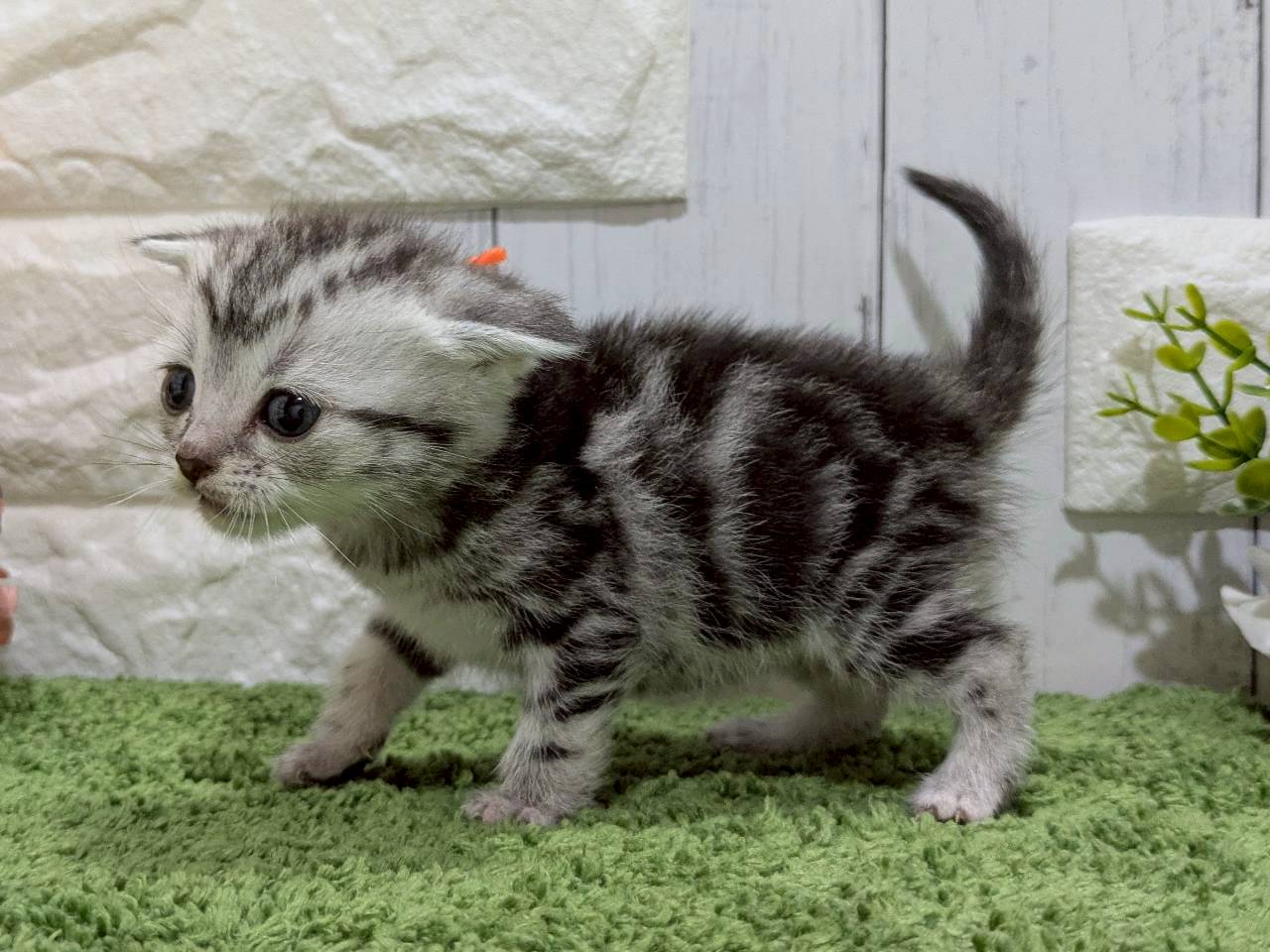 赤ちゃん写真2-2