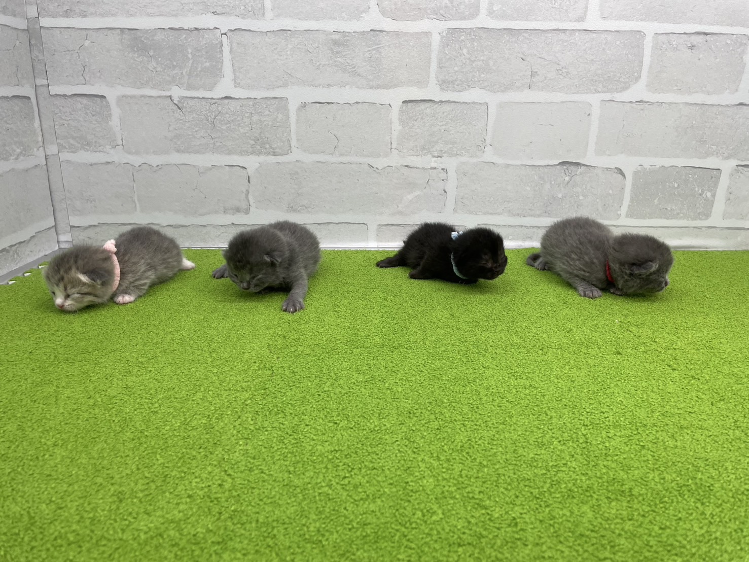 赤ちゃん写真1-3