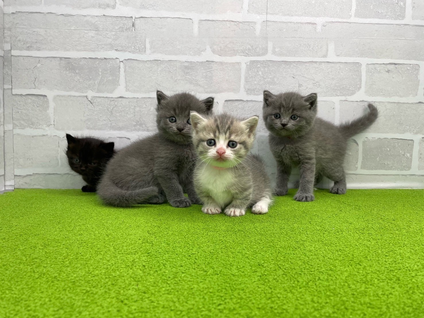 赤ちゃん写真2-3