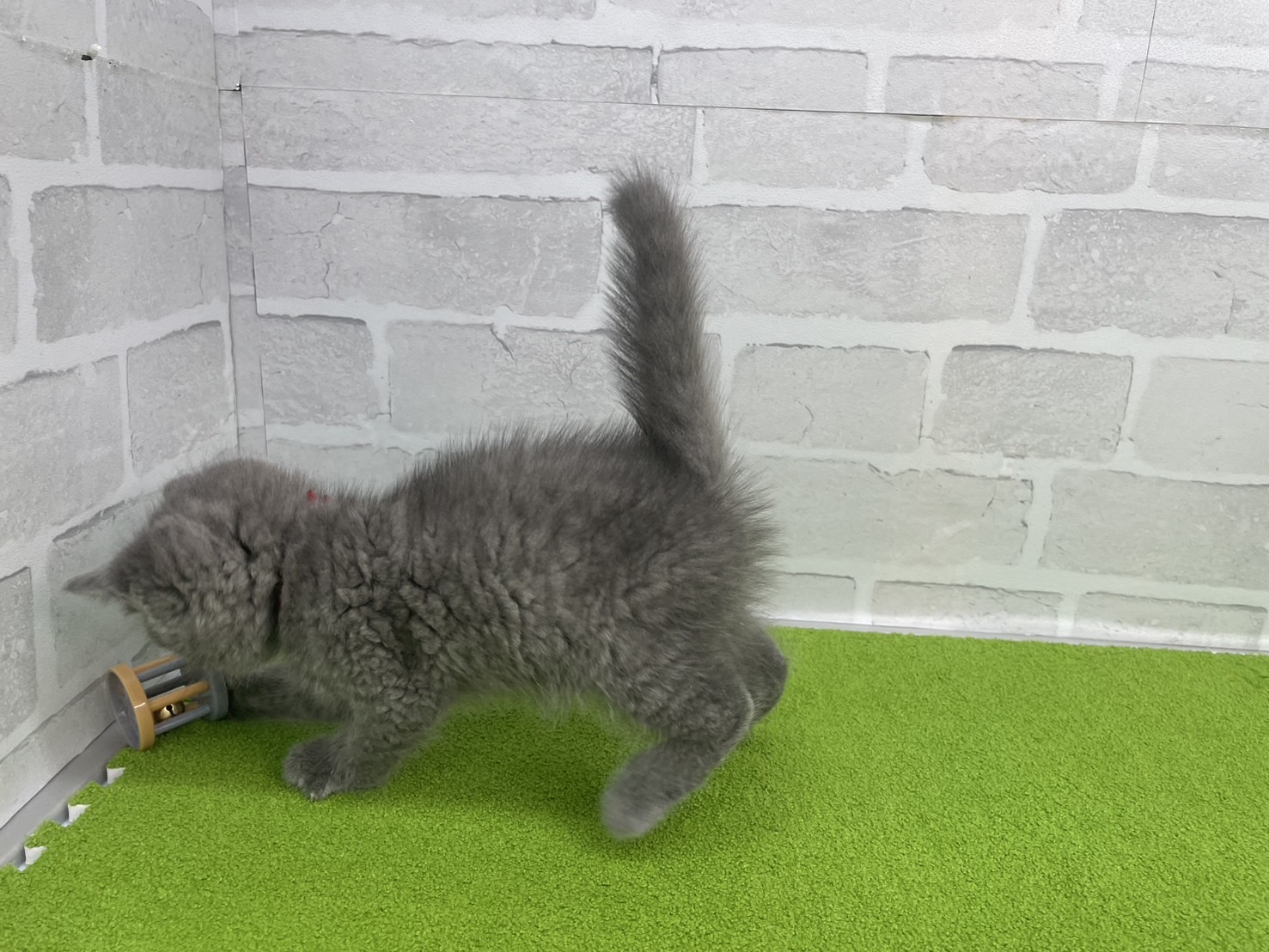 赤ちゃん写真3-2