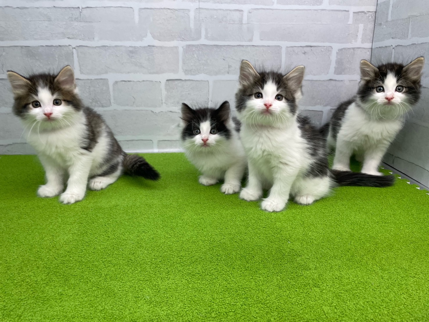 赤ちゃん写真3-3