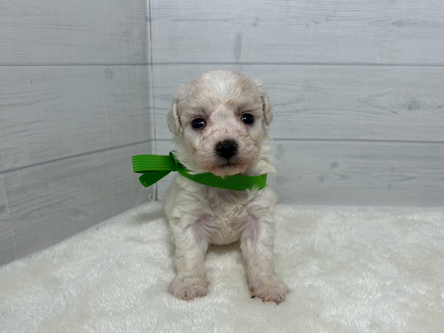 赤ちゃん写真2-1