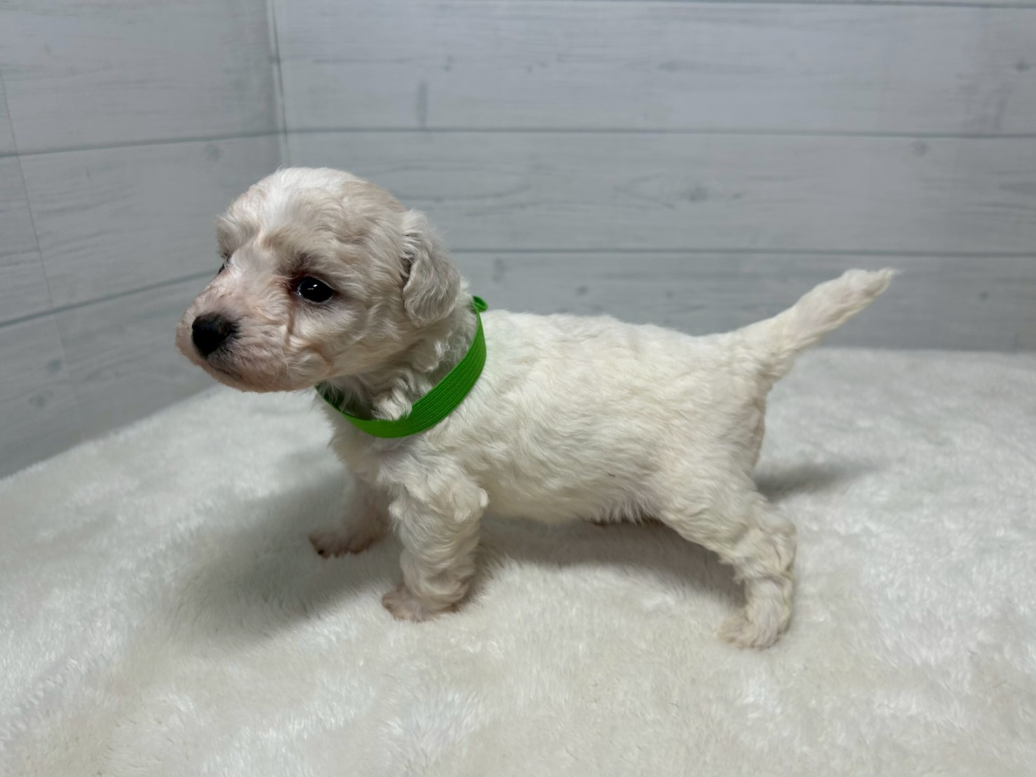 赤ちゃん写真2-2