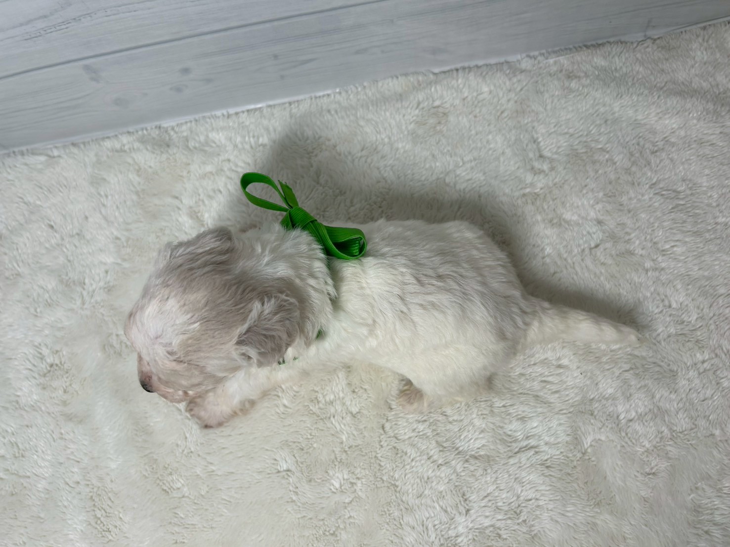 赤ちゃん写真2-3