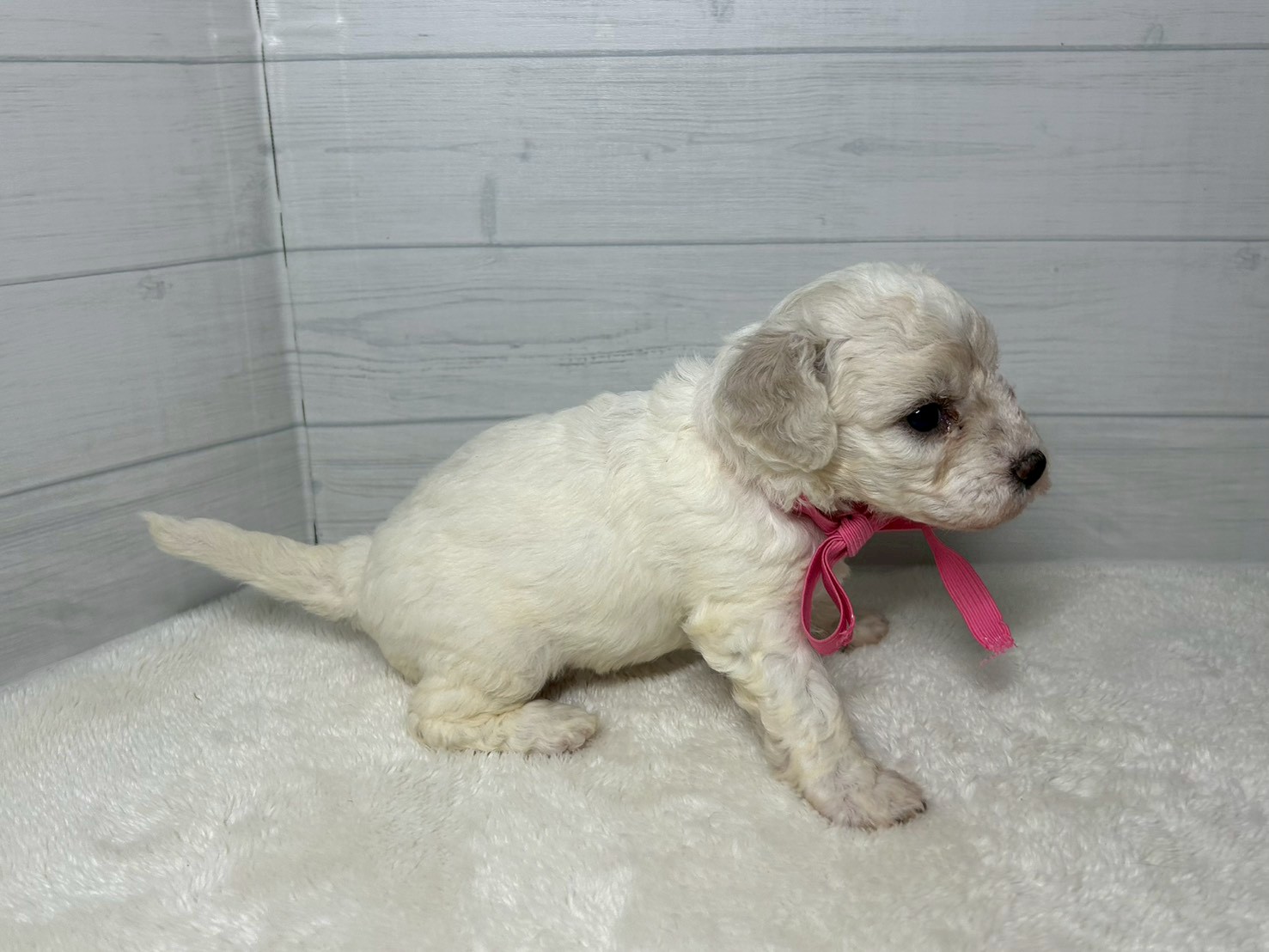 赤ちゃん写真2-2