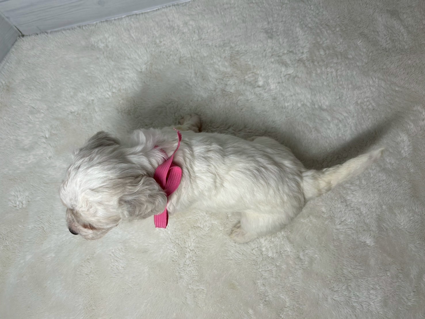 赤ちゃん写真2-3