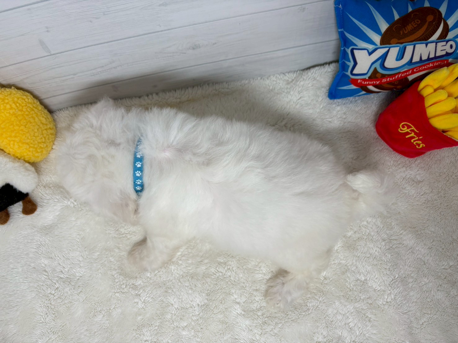 赤ちゃん写真3-3