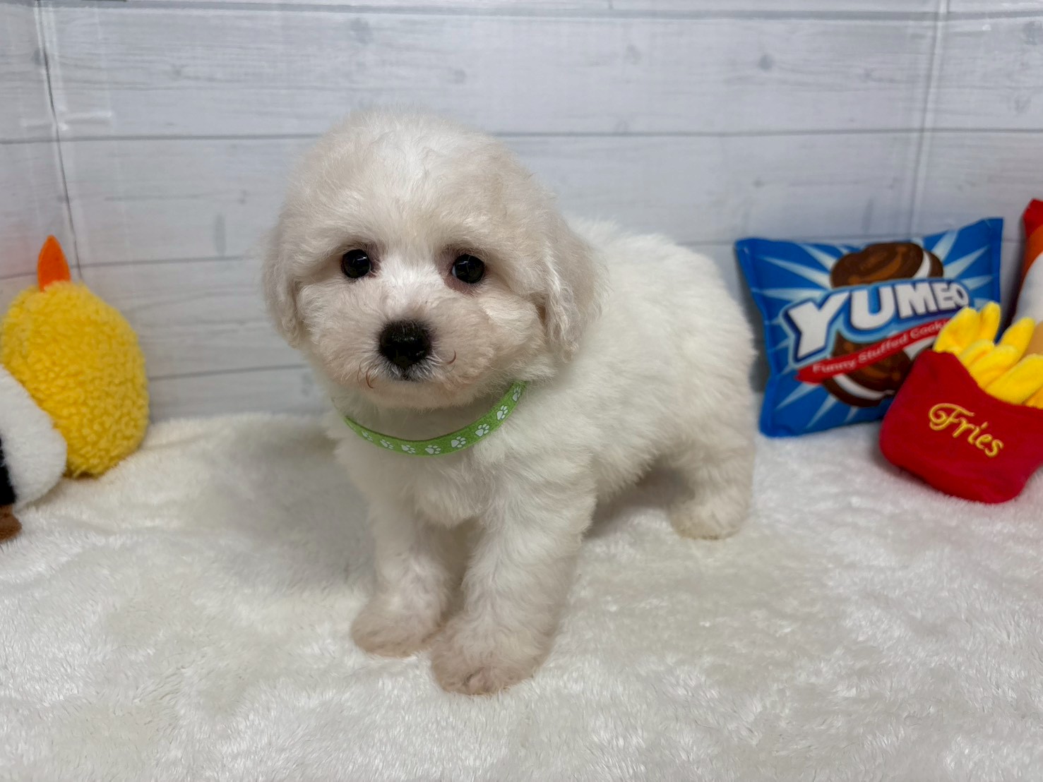 赤ちゃん写真3-1