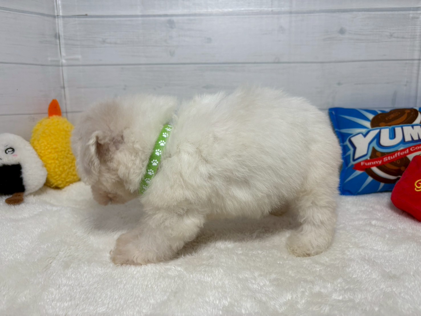 赤ちゃん写真3-2