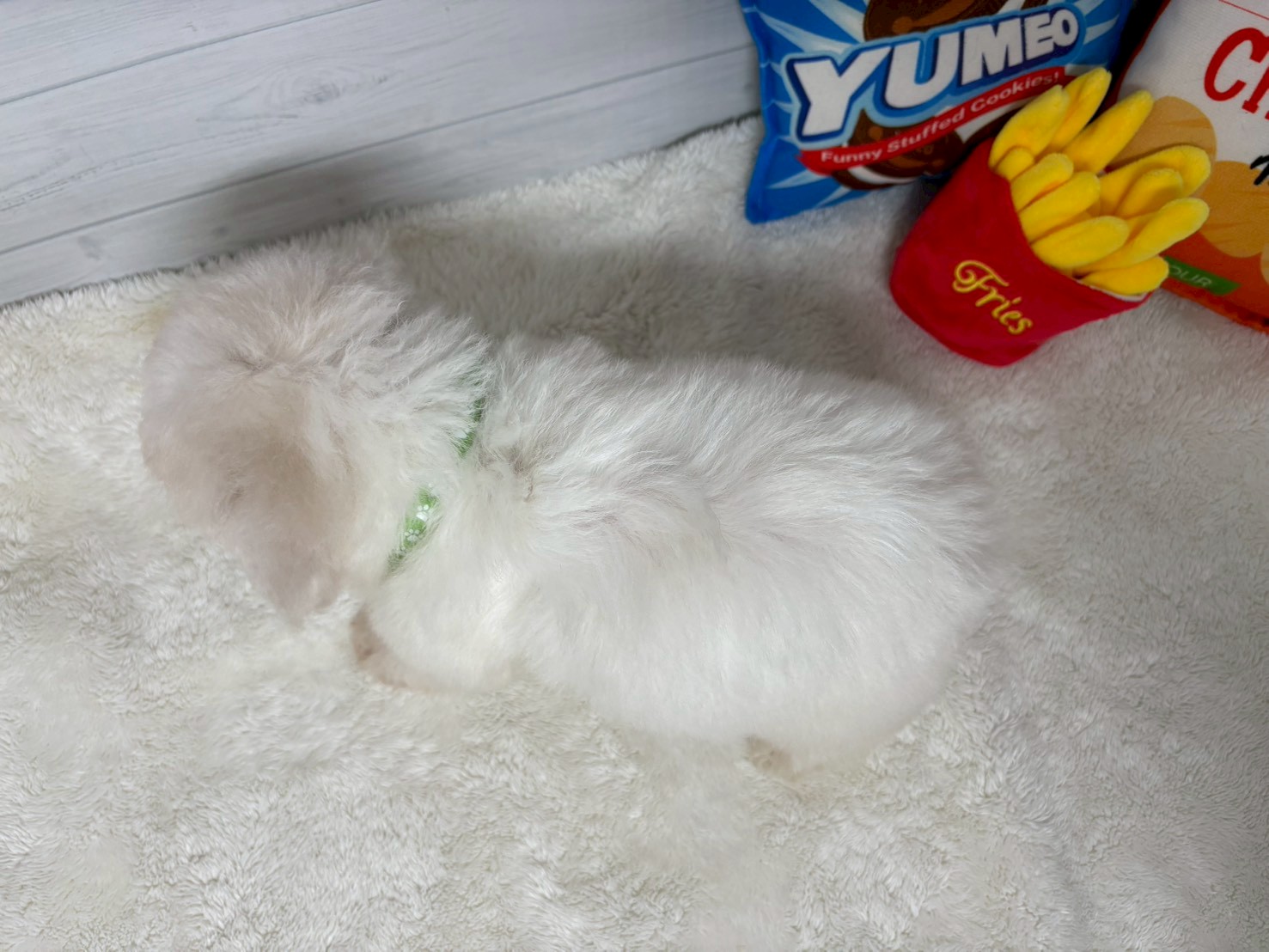 赤ちゃん写真3-3