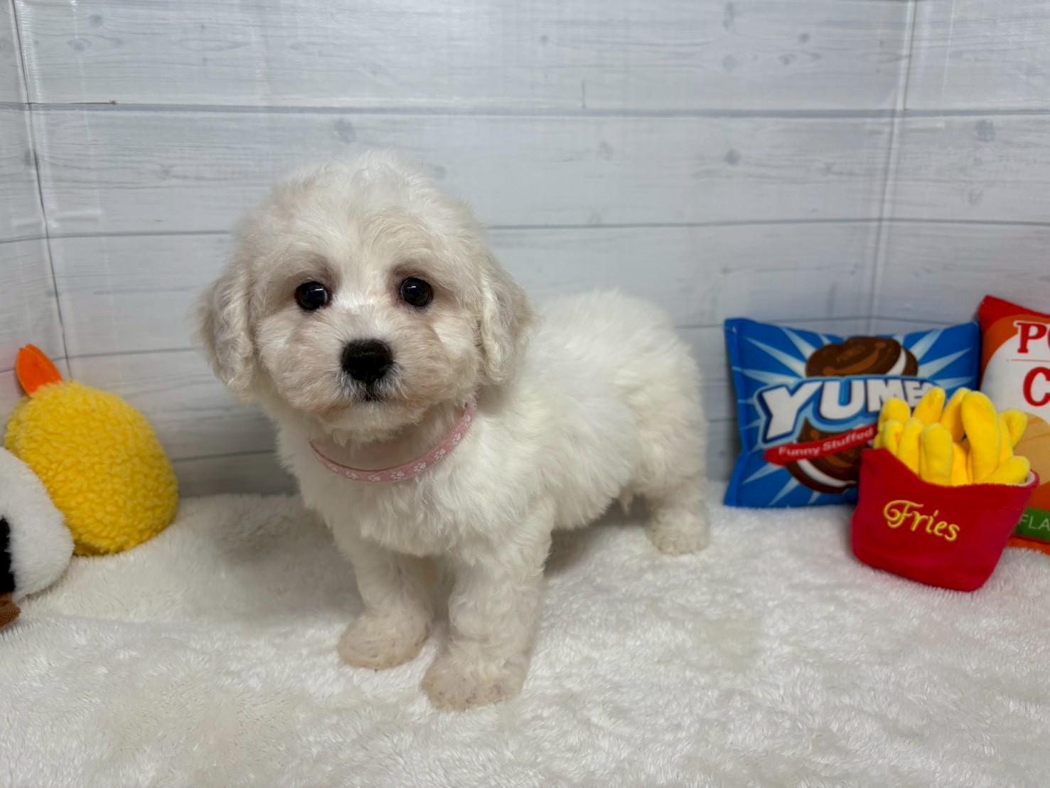 赤ちゃん写真3-1