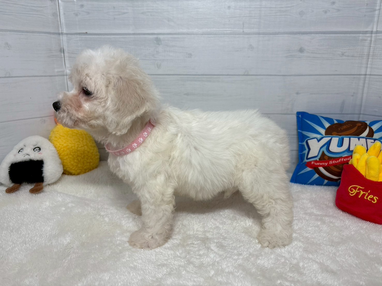 赤ちゃん写真3-2