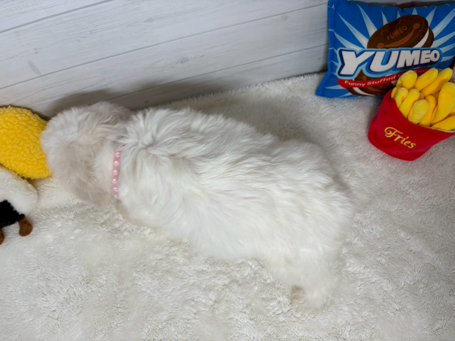 赤ちゃん写真3-3