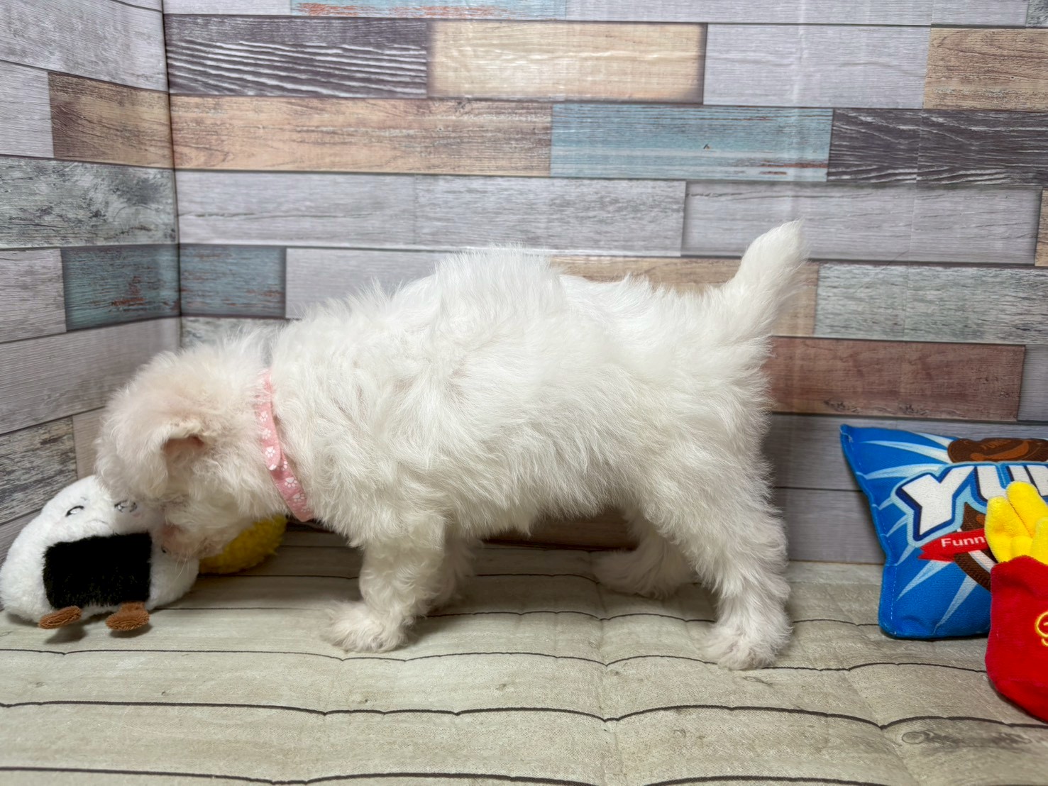 赤ちゃん写真3-2