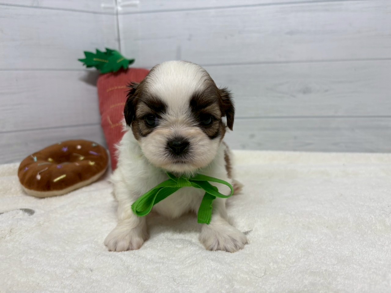 赤ちゃん写真2-1