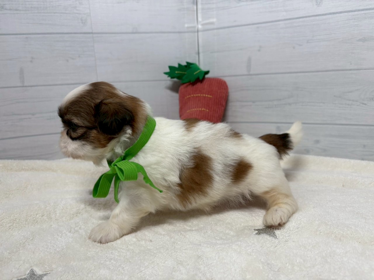 赤ちゃん写真2-2