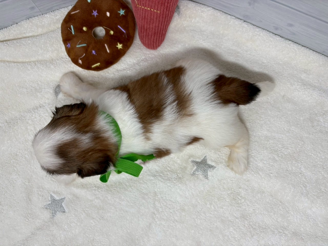 赤ちゃん写真2-3